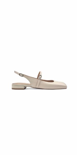 Picture of SCALA - Ballerinas