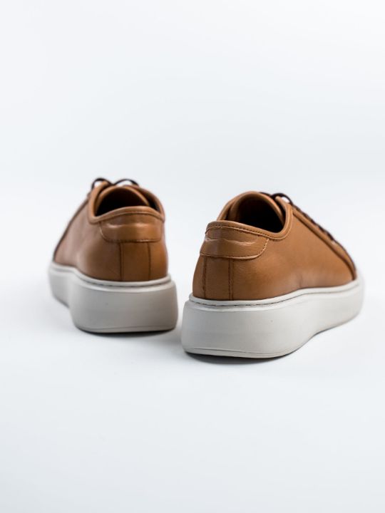 ShopifyColors:Coconut