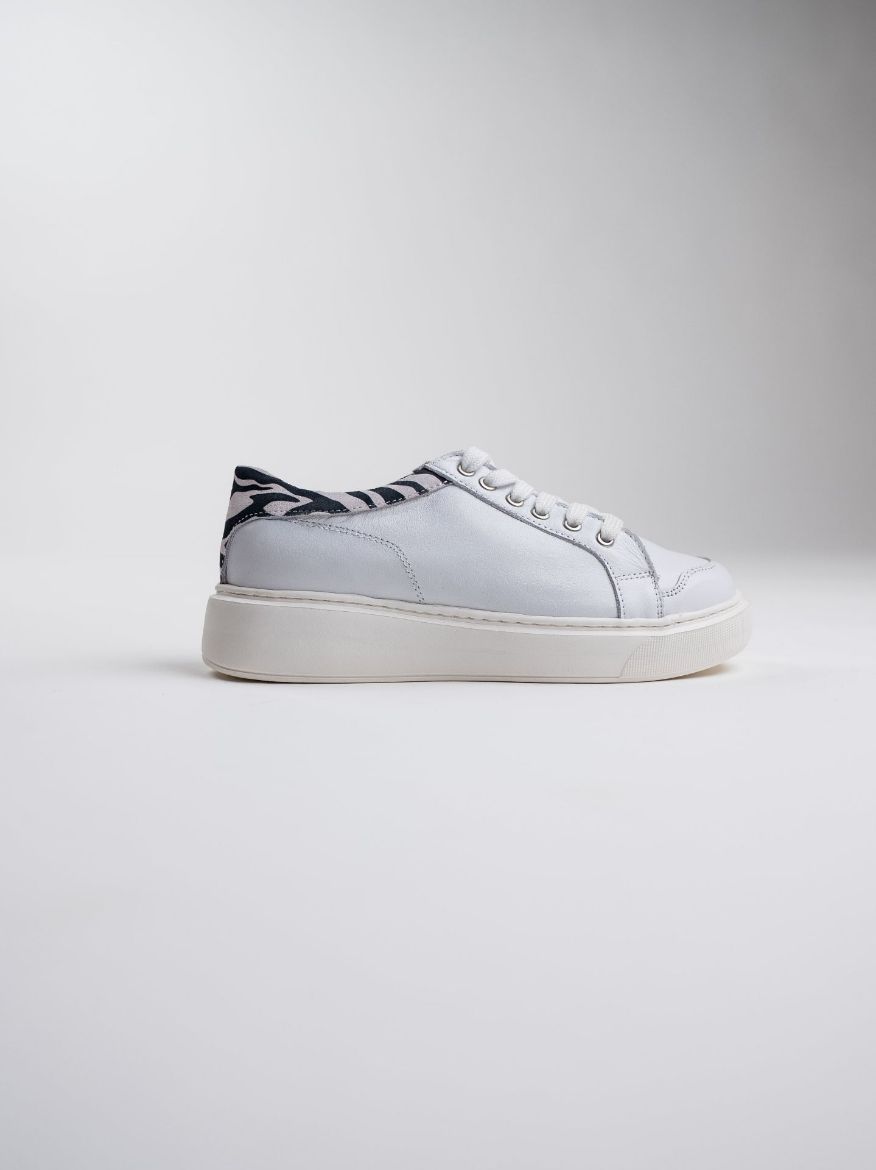 urban-safari zebra-white