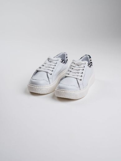 urban-safari zebra-white