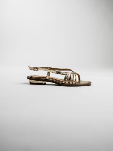 LIORA - ANTIQUE CHAMPAGNE resmi
