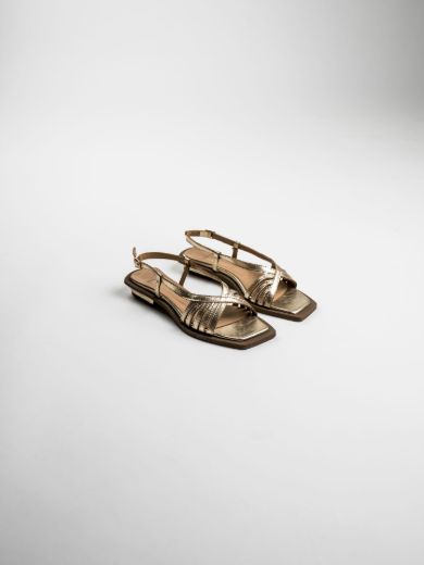 LIORA - ANTIQUE CHAMPAGNE resmi