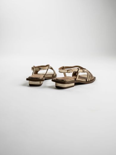 LIORA - ANTIQUE CHAMPAGNE resmi